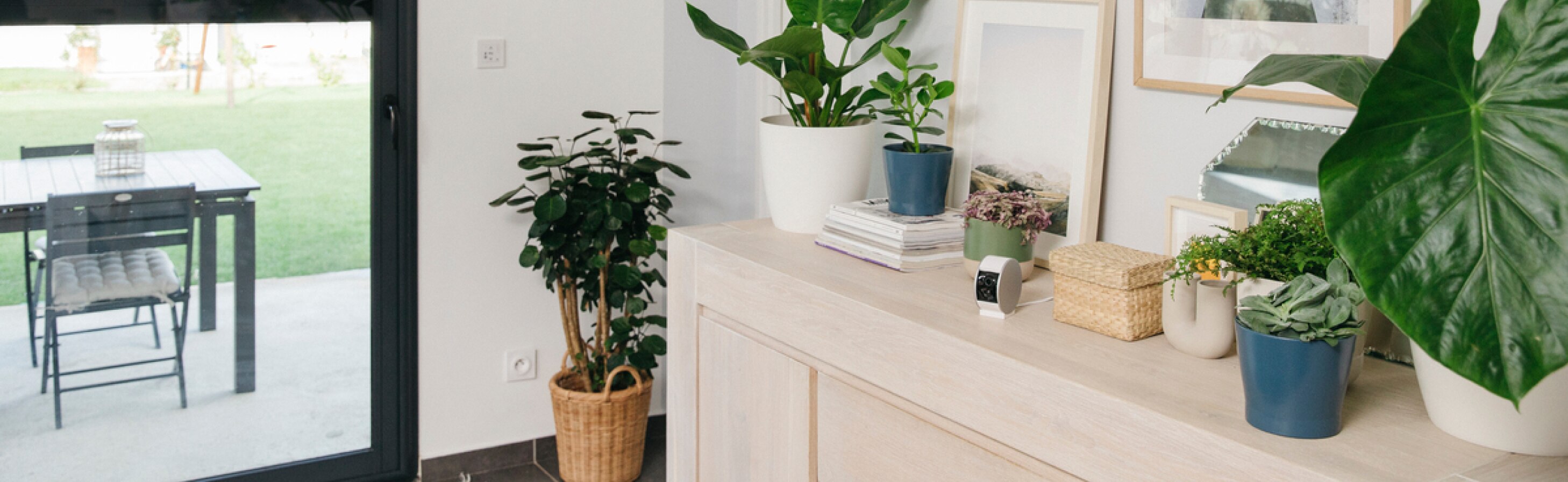 Beveiligingscamera's